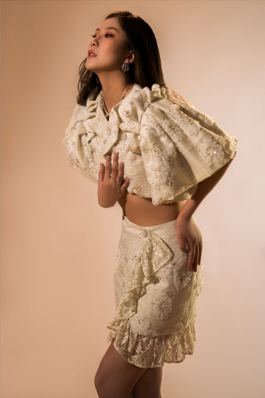 Ivory Embellished Cropped Jacket and Mini Skirt