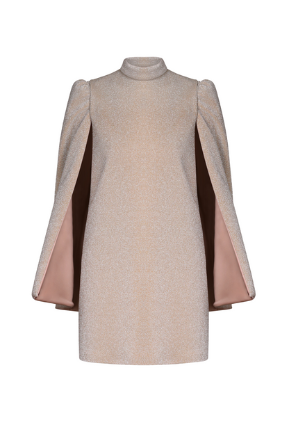 Sable Removable Sleeves Mini Dress