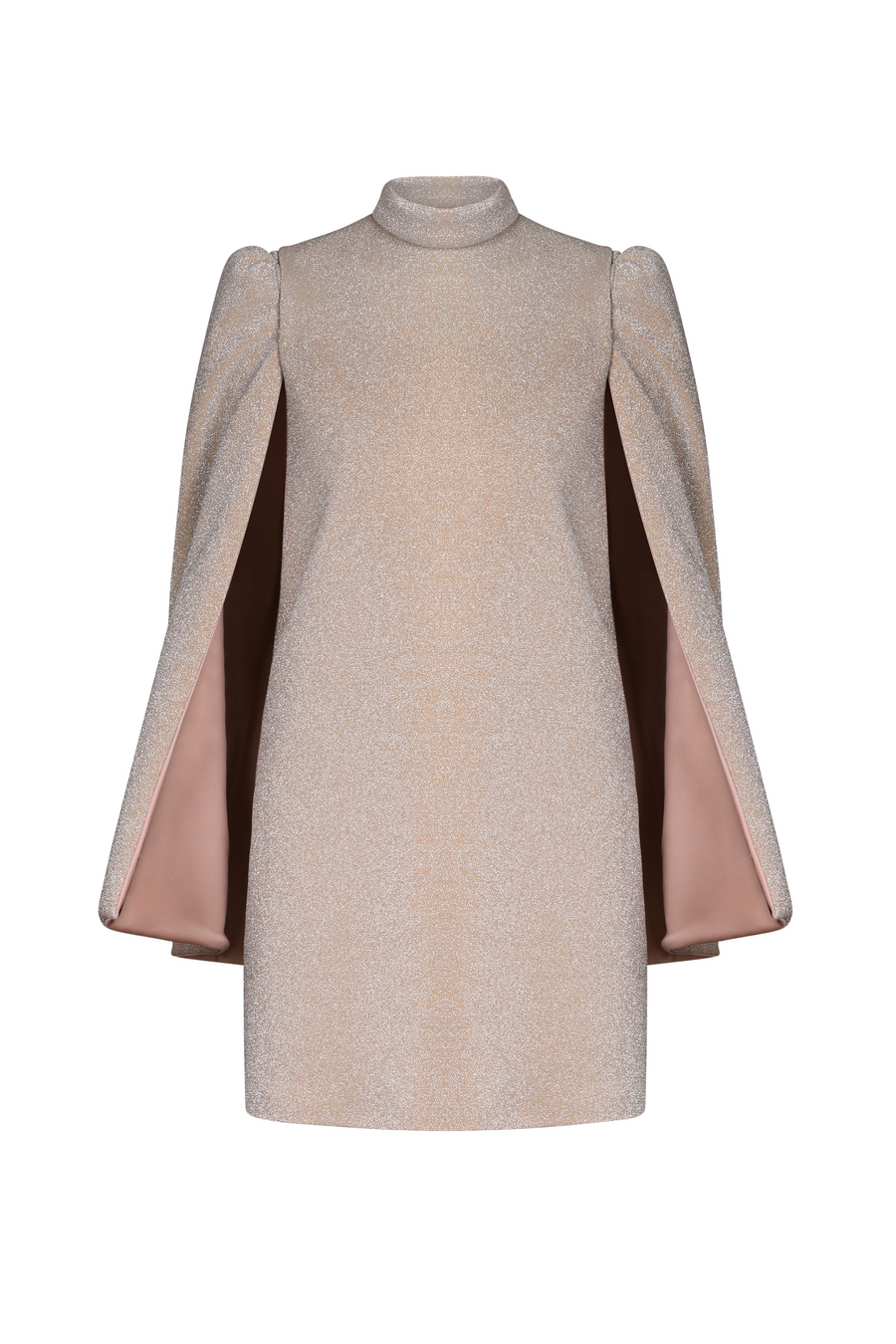 Sable Removable Sleeves Mini Dress