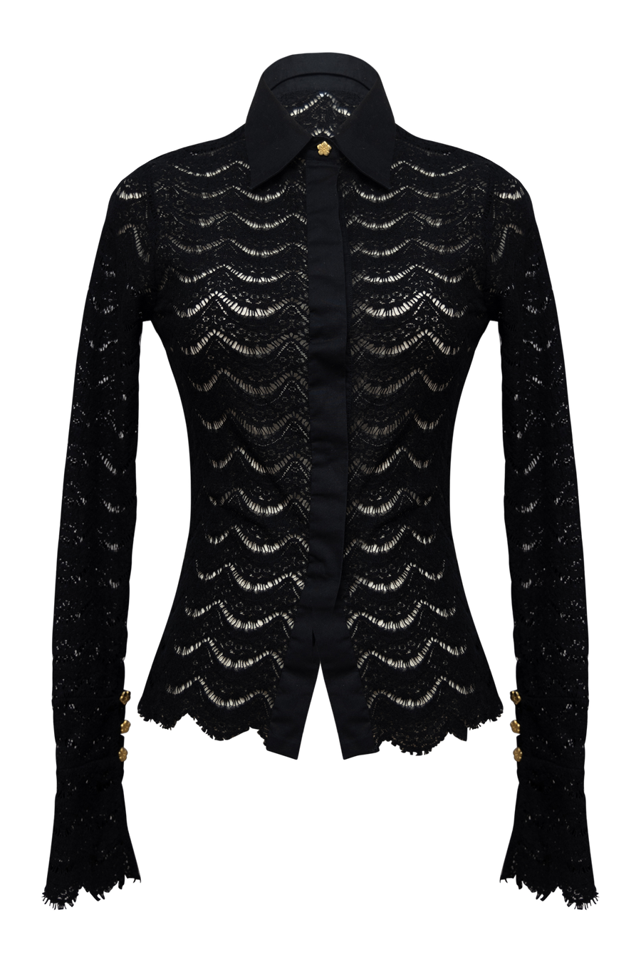 Joan Sheer Lace Top